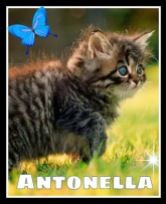 Gattino con farfalla e Antonella